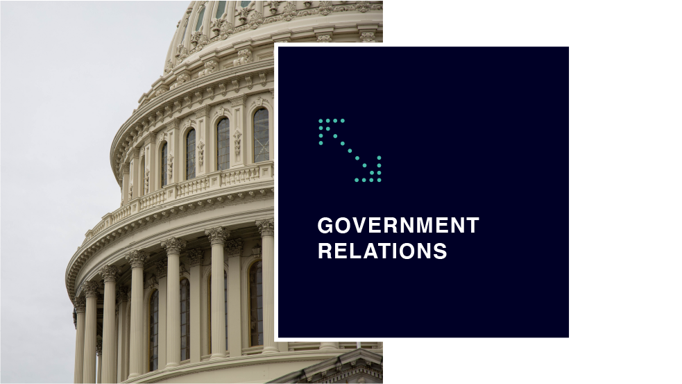 goverment